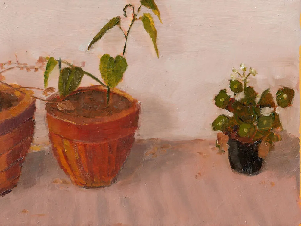 Terracotta pot, photo 1